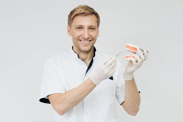 Dentist pointing to a plaster cast on white background. Explaining about teeth care - Photo, Image