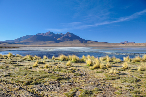 gyönyörű tájak sur lipez, Dél-Bolívia - Fotó, kép