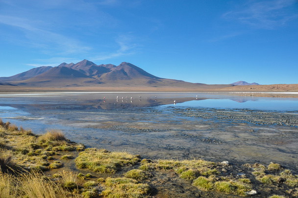 シュル リペス、南ボリビアのゴージャスな景色 - 写真・画像