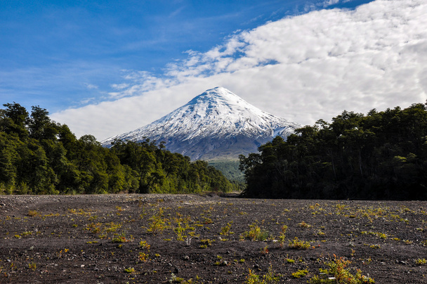 オソルノ火山湖トードスロス サントスから見たチリ - 写真・画像