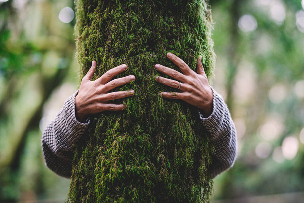 Любитель природы обнимает ствол дерева зеленым мускусом в тропических лесах - Фото, изображение
