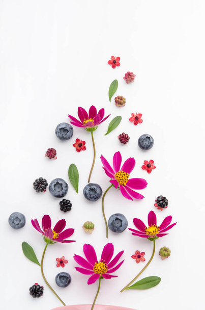 Flowers and berries are laid out on the surface. Composition on a white background. - Fotoğraf, Görsel