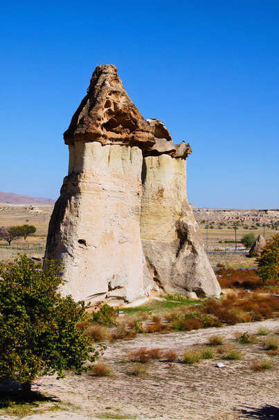 Scenic view of shaped sandstone rocks. Famous Fairy Chimneys or Multihead stone mushrooms in Pasaba Valley near Goreme. Popular travel destination in Turkey. UNESCO World Heritage Site. - Foto, afbeelding