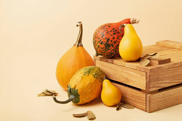 Group of decorative pumpkins, from little to big, on the wooden box.Autumn background with copy space,large banner. - Фото, зображення