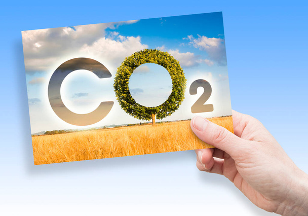 A szén-dioxid-kibocsátás csökkentése - koncepció a szén-dioxid-ikon szövegével és a fa alakjával a vidéki környezetben és a képeslapot tartó kézben - Fotó, kép