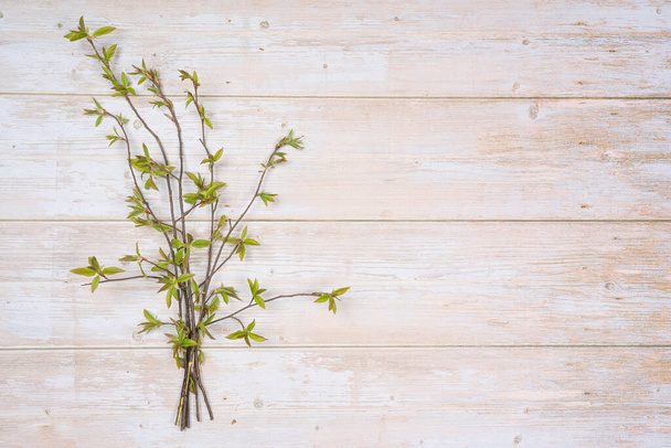 Green bouquet of pussy willow twigs on a wooden background. There is room for text. - Фото, изображение