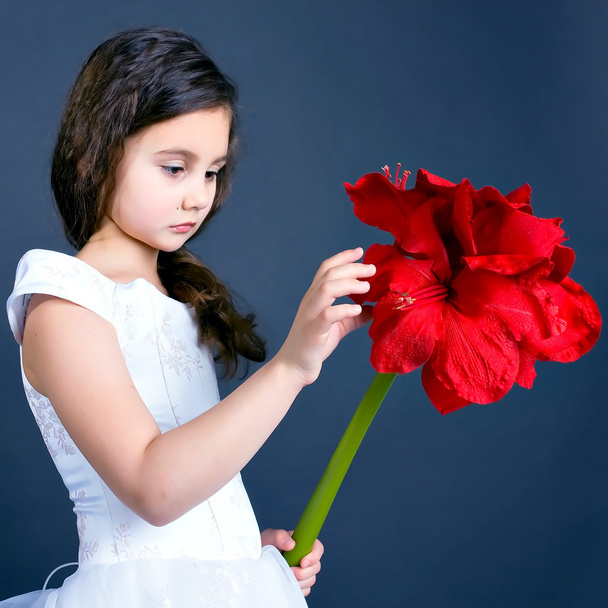 piękna dziewczyna dreaming jasny czerwony kwiat - Zdjęcie, obraz