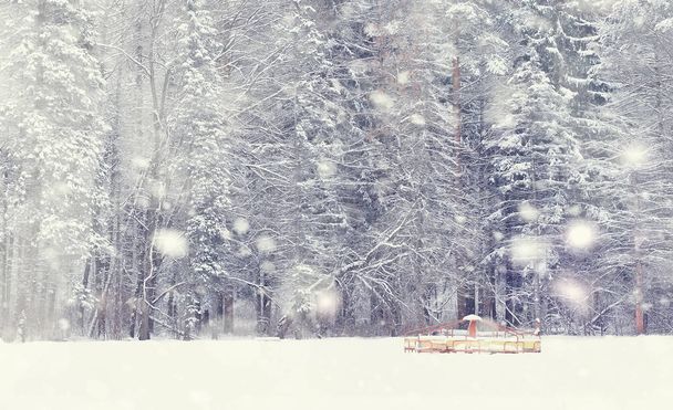 Paisaje forestal invernal. Árboles altos bajo cubierta de nieve. Enero día helado en el parque. - Foto, Imagen