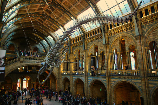 The crowded Natural History Museum in London, United Kingdom - Foto, Imagem