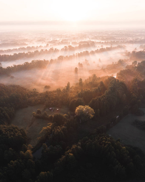 A vertical shot of fields covered in greenery and fog under the sunlight in the countryside - Fotografie, Obrázek