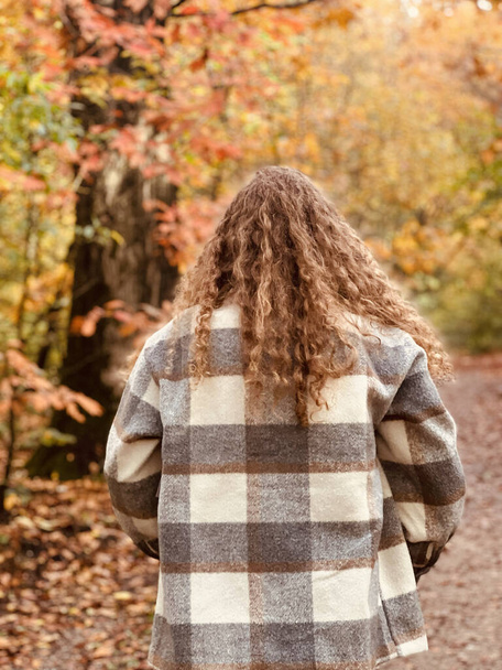 A back view of a curly-haired girl walking in the autumn forest in Nijmegen city - Fotó, kép