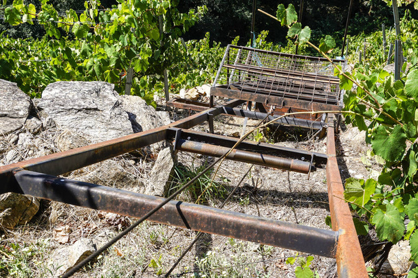 Плантація виноградників системою терас або терас у галицькій Рібейра Сакра. - Фото, зображення