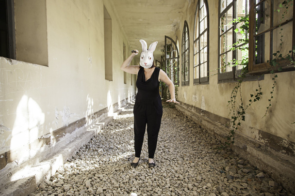 Rabbit woman attack - Photo, Image
