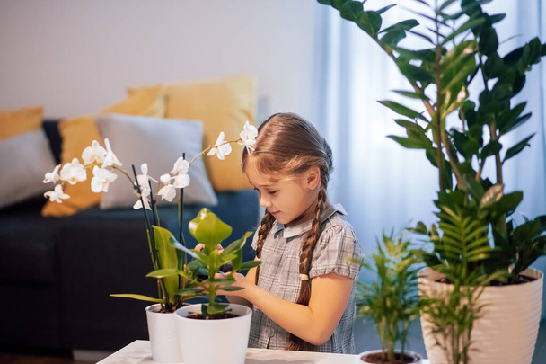 Kleines Mädchen kümmert sich um Topfblumen. Die Pflanzen im Haus. Hausblumen. Mädchen gießt Blumen im Zimmer - Foto, Bild