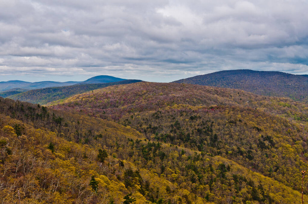 The Appalachian Mountains, Shenandoah National Park, Virginia, Verenigde Staten - Foto, afbeelding
