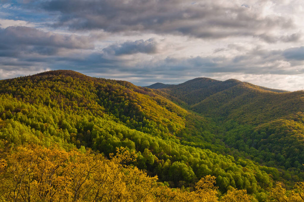 Shenandoah Ulusal Parkı, Virginia, ABD 'de bahar sonu. - Fotoğraf, Görsel