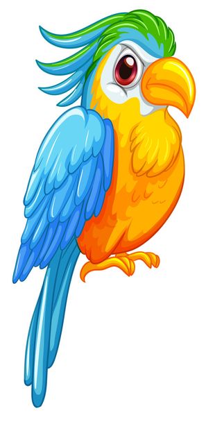 perroquet - Vecteur, image