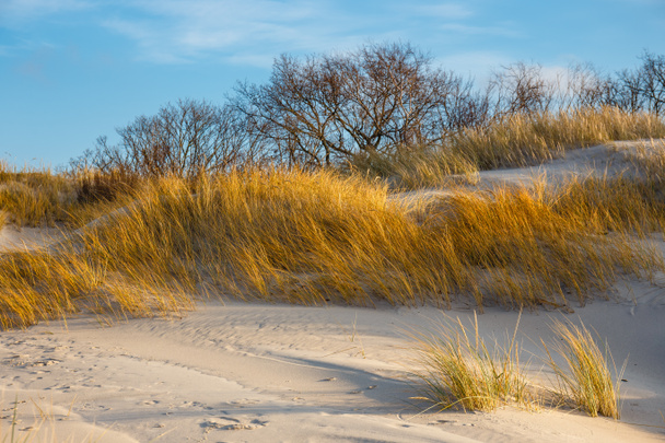 Захід сонця на пляжі (Балтійське море) у Колобрзегу (Польща).. - Фото, зображення