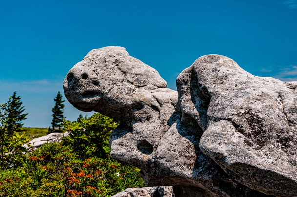 Photo of Weathered Rock Formation, Dolly Sods Wilderness, West Virginia USA - Foto, Imagen
