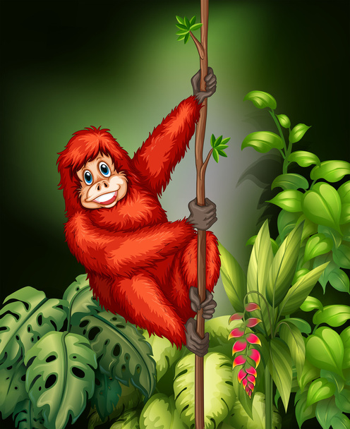Orangutan Free Stock Vectors