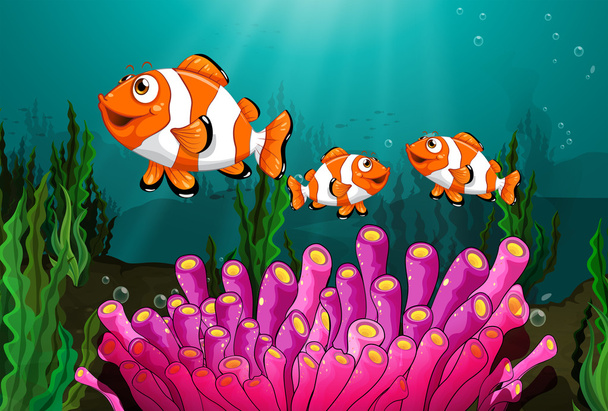 clownfish - Διάνυσμα, εικόνα