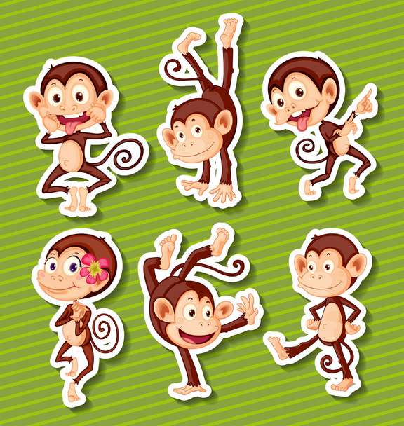 Conjunto de monos
 - Vector, Imagen