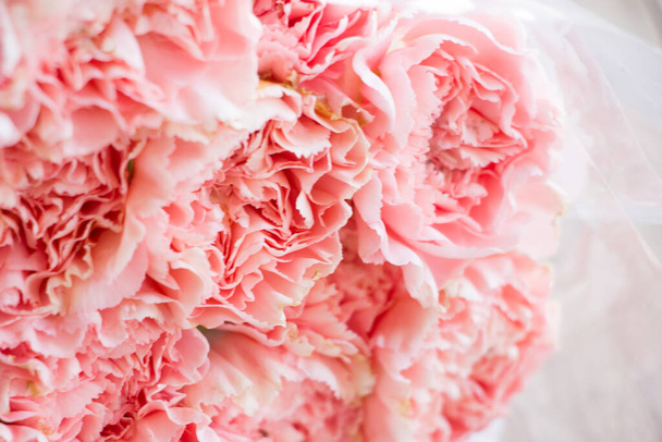 verschwommen rosa flauschige Nelkenblume für Hintergrund - Foto, Bild