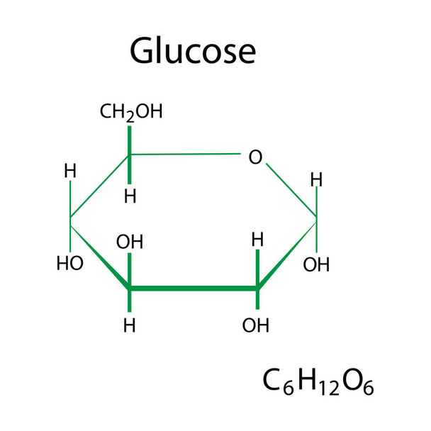 Glukoosin kemiallinen kaava. Orgaaninen yhdiste. Tiedepuoli. Molekyylirakenne. Vektorikuvitus. Kantakuva. - Vektori, kuva