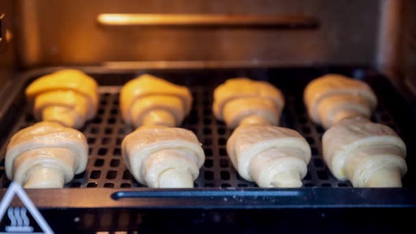 Tijd verstrijkt. Croissant gebakken in de oven. Een croissant voor het ontbijt heerlijk gekookt in een huishoudelijke oven - Video