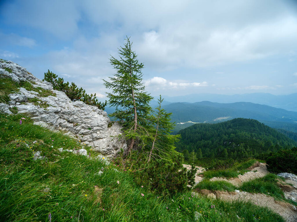 trilhas rochosas de turismo de montanha para caminhadas no dia ensolarado de verão com nuvens baixas - Foto, Imagem