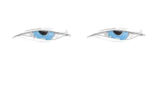 3d illustration - hand drawing Human Eyes Staring At The Camera - Photo, Image