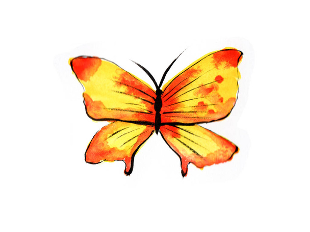 多色鮮やかな黄色の蝶、カラフルな蝶の水彩画、カード、招待状やプリントを作成するためのイラスト. - 写真・画像