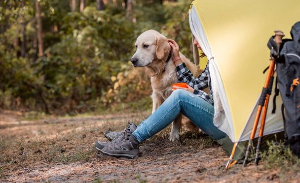 Camping in mountains forest with golden retriever dog - Photo, Image