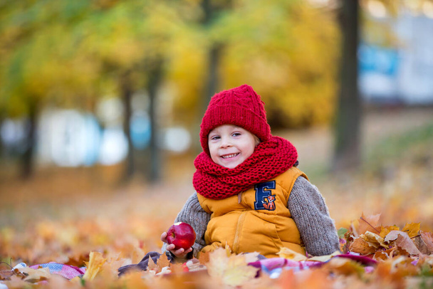Happy child, playing with in autumn park on a sunny day, foliage and leaves all around him, eating apple - Foto, Bild