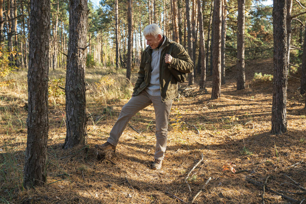 Man going through the lonely forest and looking at the ground while enjoying - Fotoğraf, Görsel