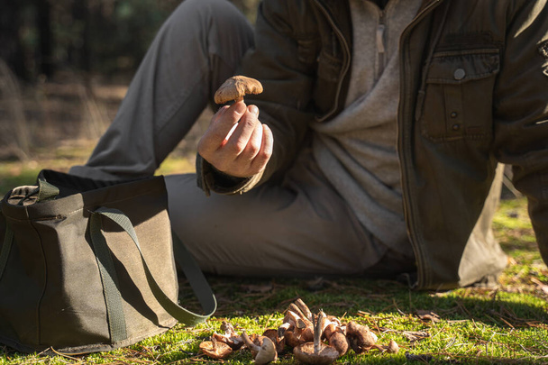Senior man wearing warm clothes holding at the hands fresh mushroom - Фото, зображення