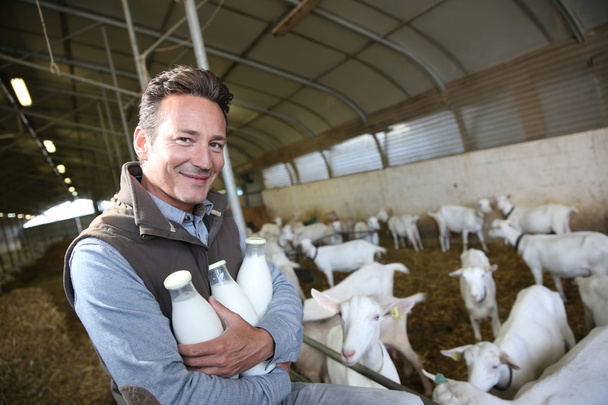 Farmer holding bottles of milk - Fotografie, Obrázek