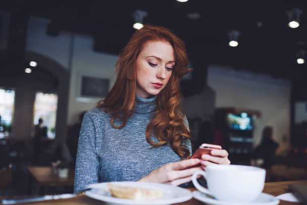 From below of redhead lady in casual wear concentrating on screen of smartphone while spending time in modern cafe during breakfast - Photo, image