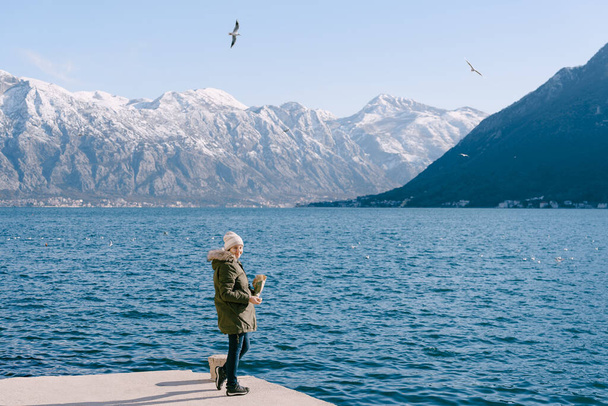 Girl in a jacket stands on the pier and feeds the seagulls - Фото, зображення