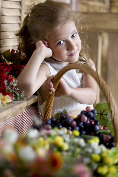 Six-year-old girl with a basket of fruit - Fotografie, Obrázek