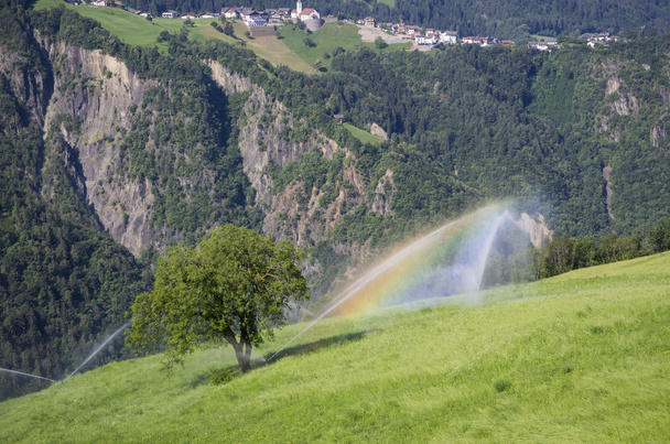 Agricultura ecológica en el Tirol del Sur - Foto, Imagen
