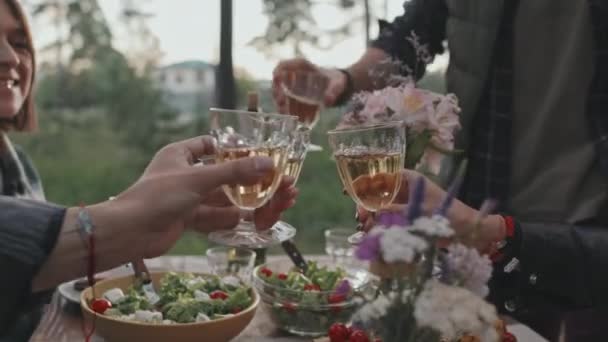 Close up mid-section of friends having picnic outside on summer evening and clinking glasses. People enjoying dinner outdoors - Filmagem, Vídeo