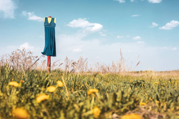 eine Vogelscheuche auf dem Feld, ein blaues Kleid an einer Stange. blauer Himmel und verschwommener Vordergrund, Blick von unten - Foto, Bild