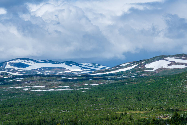 雪に覆われた山頂と夏の日差しの中で低成長している緑の木と北部のスウェーデン高地の広大さの美しい風景 - 写真・画像