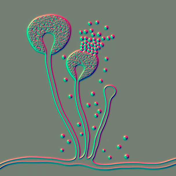 Struktur von Schleimpilz, Schwarzpilz, Gelbpilz, 3D-Illustration. Opportunistische Pilze, die Schleimhaut, Nasennebenhöhlen, Gehirn und Lungen befallen. Komplikation von Covid-19 - Foto, Bild