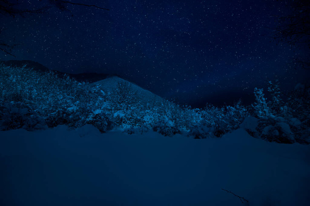 Mountain Road through the snowy forest on a full moon night. Scenic night winter landscape of dark blue sky with moon and stars. Azerbaijan - 写真・画像