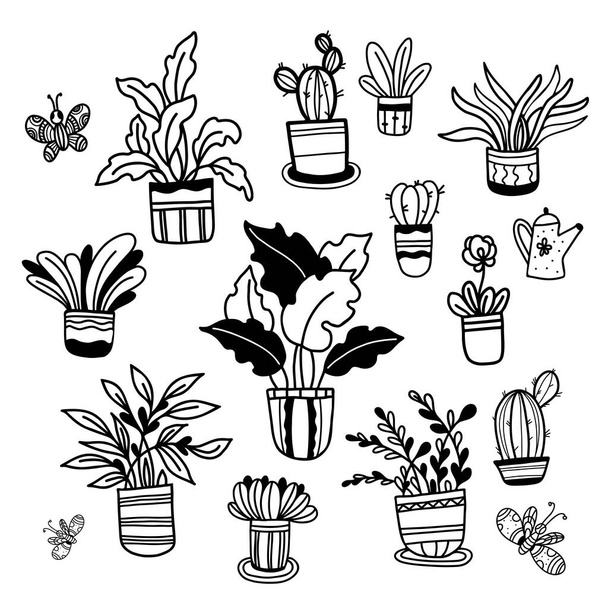 Big Set of hand drawn flower in pots illustrations, houseplants, cactus and butterflies in doodle style. Vector illustration. Isolated outline Hand drawn for design, decor, decoration and postcards - Vetor, Imagem