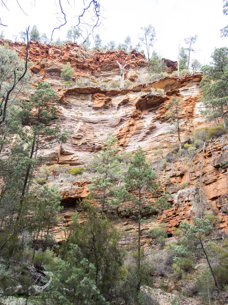 The huge rock formations with trees - 写真・画像