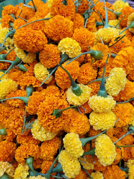 Μοτίβο σωρός από λουλούδια marigold για υφή και φόντο - Φωτογραφία, εικόνα