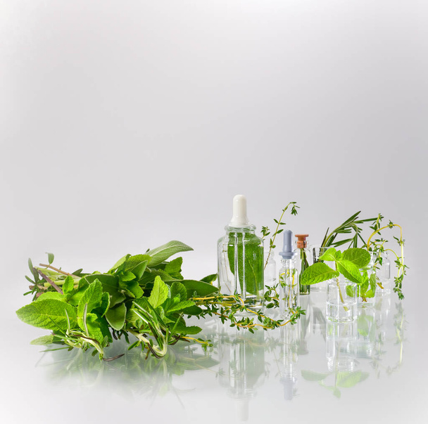 Pharmacy bottles are bottles among the collected parts of green plants. - Foto, Imagem